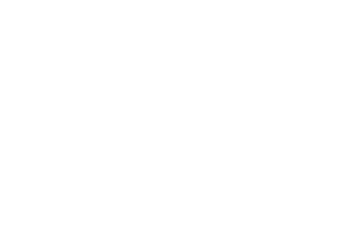 ABOVE THE STARS